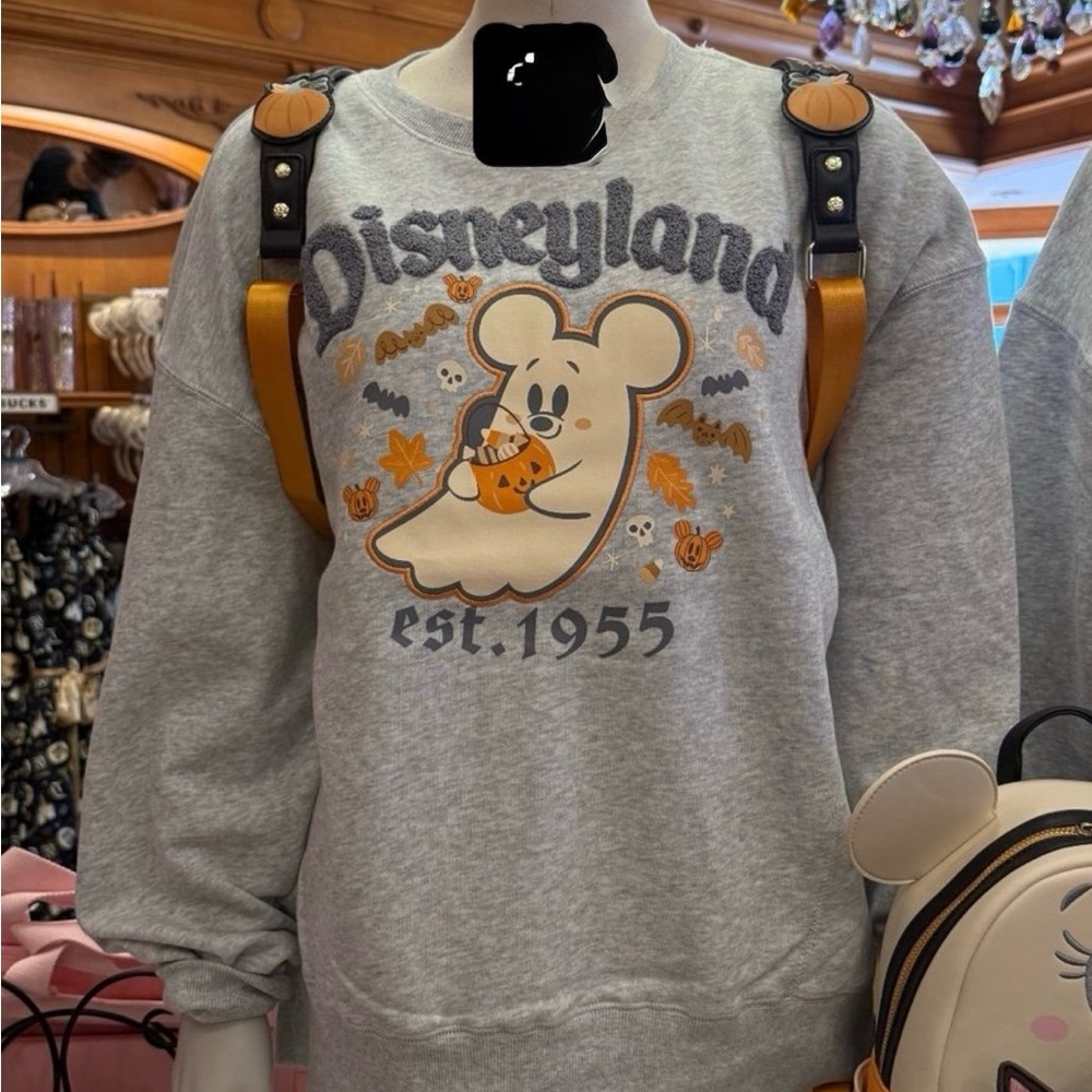 Disneyland Gray Crew Neck Sweater